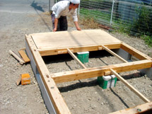 �����g���A���𒣂�