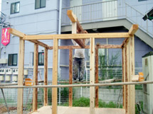 �����g���A��