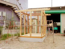 �����g��